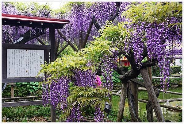 龜戶天神社-41.JPG