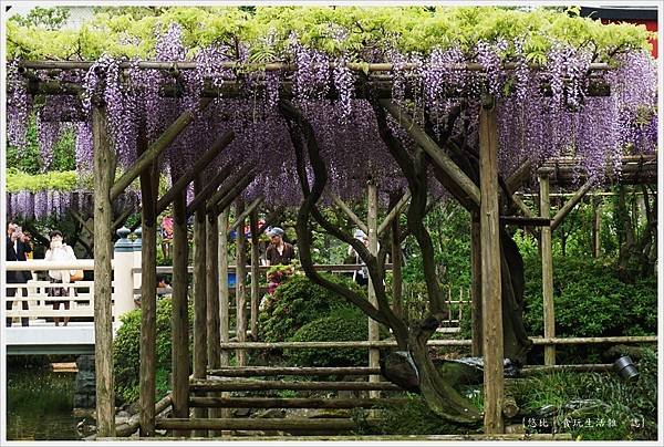 龜戶天神社-68.JPG