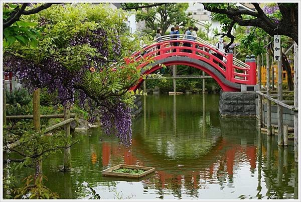 龜戶天神社-73.JPG