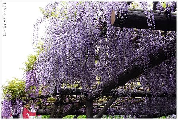 龜戶天神社-76.JPG