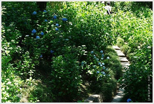 矢田寺-87.JPG