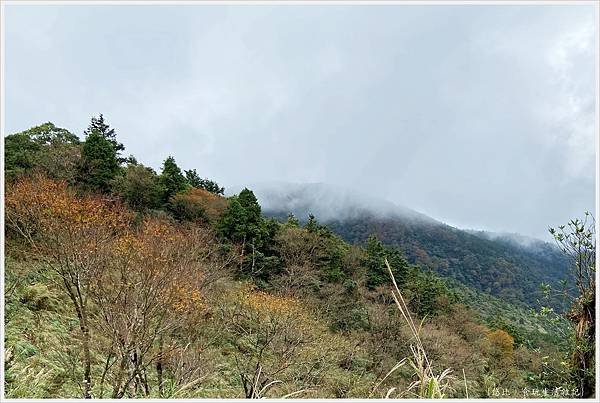 山毛櫸步道-15.jpg