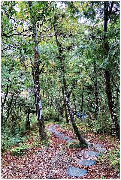 山毛櫸步道-23.jpg