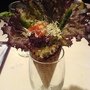 DSC04528.JPG