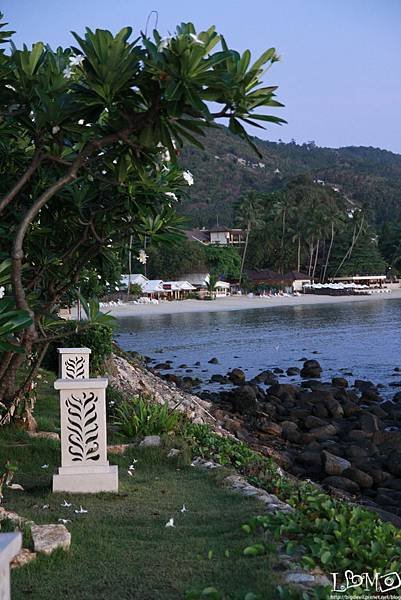 _MG_9615.JPG