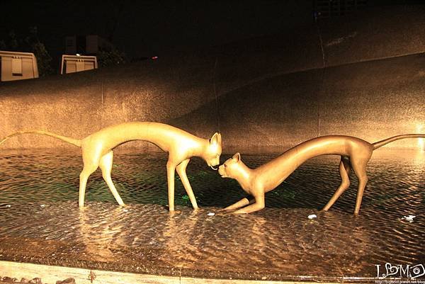_MG_0920.JPG