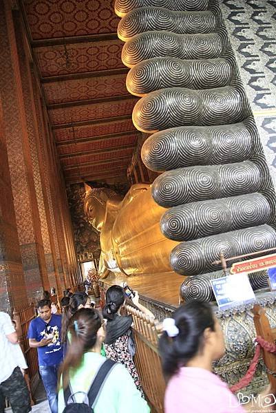 _MG_0750.JPG