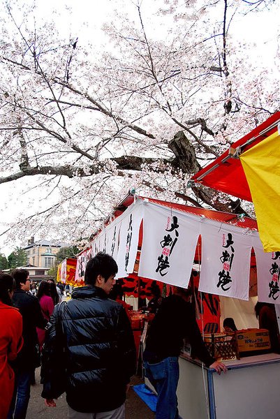 円山公園像在辦園遊會似的