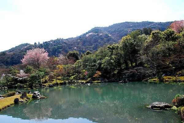 方丈庭園的大池