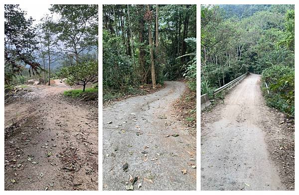 產道.jpg