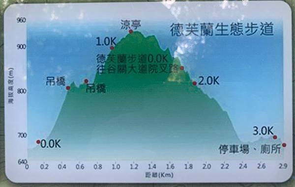 東卯山_200511_0002.jpg
