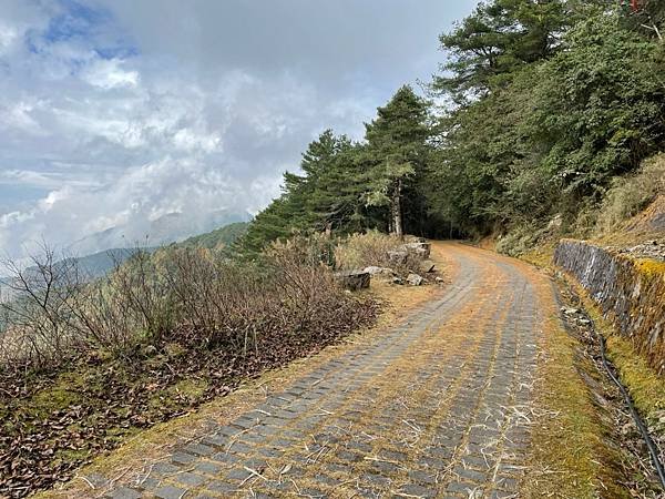 塔塔加五山_210309_149.jpg