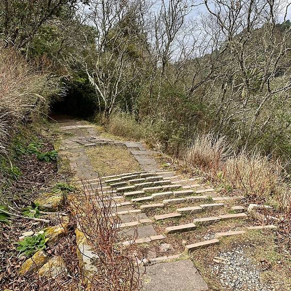 塔塔加五山_210309_155.jpg