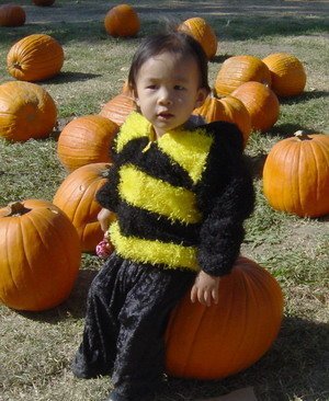 ap_20061105044228441.jpg