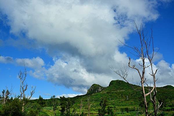 DSC_0378_Fotor.jpg