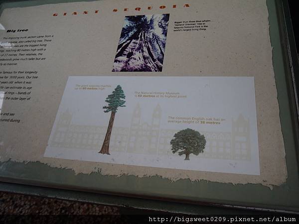 P1020556