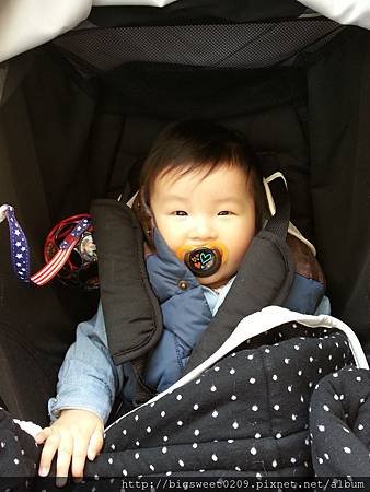 20150402_112744.jpg