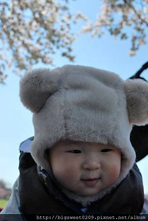 DSC_3257.jpg