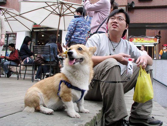 按一下觀看原始大小圖片