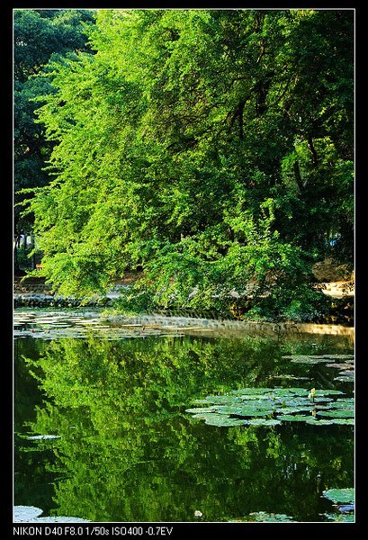 DSC_2783.jpg
