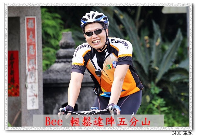 Bee.jpg