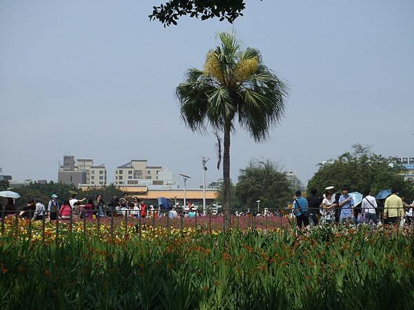 DSCF4279.JPG