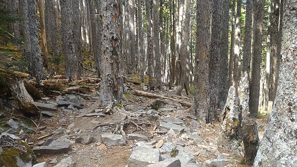 P_20151029_103356