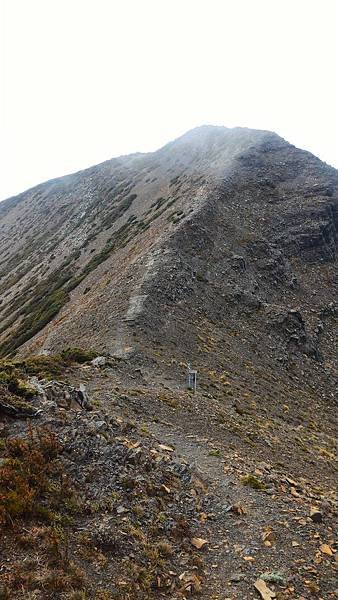 P_20151030_105223