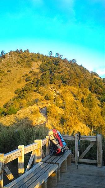 P_20151029_061343.jpg