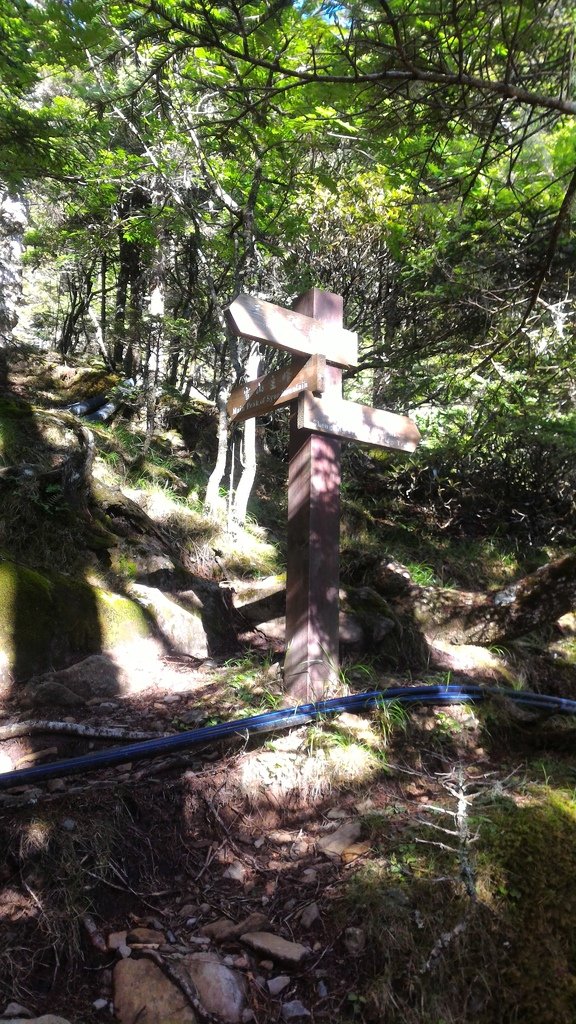 P_20160623_071715.jpg