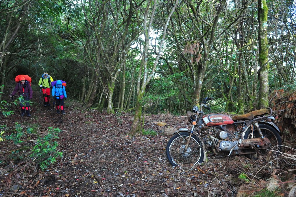 DSC_5112.JPG