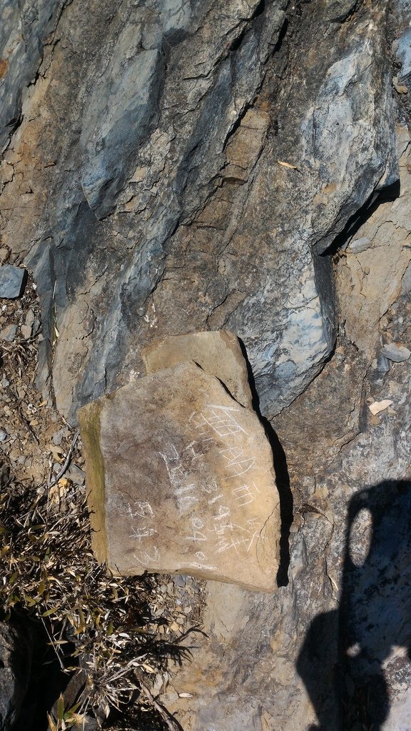 P_20160401_123545.jpg