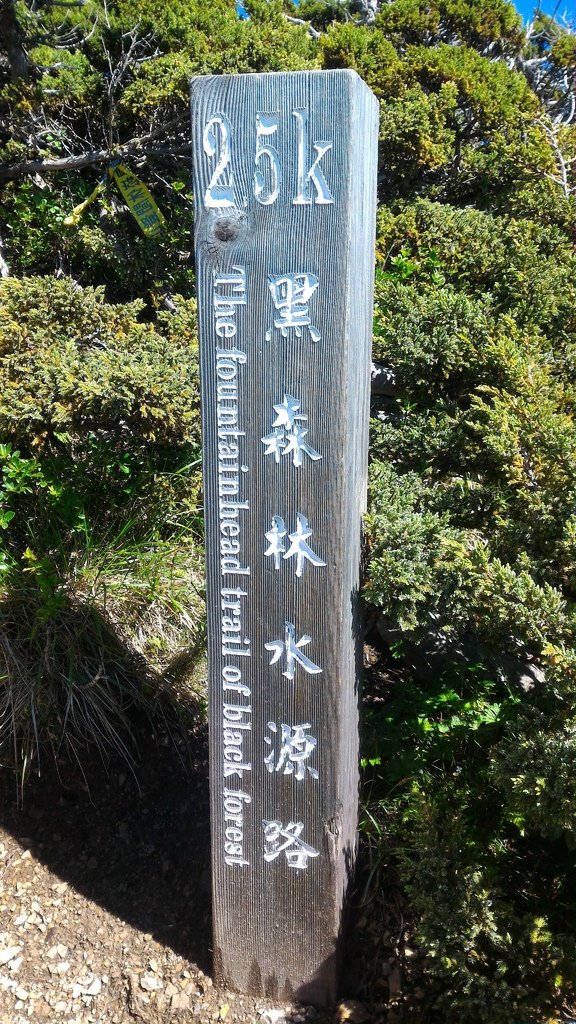 P_20160623_090903.jpg