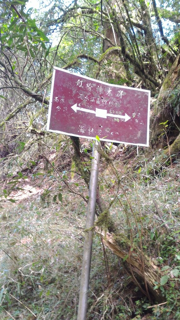 P_20170405_093507.jpg