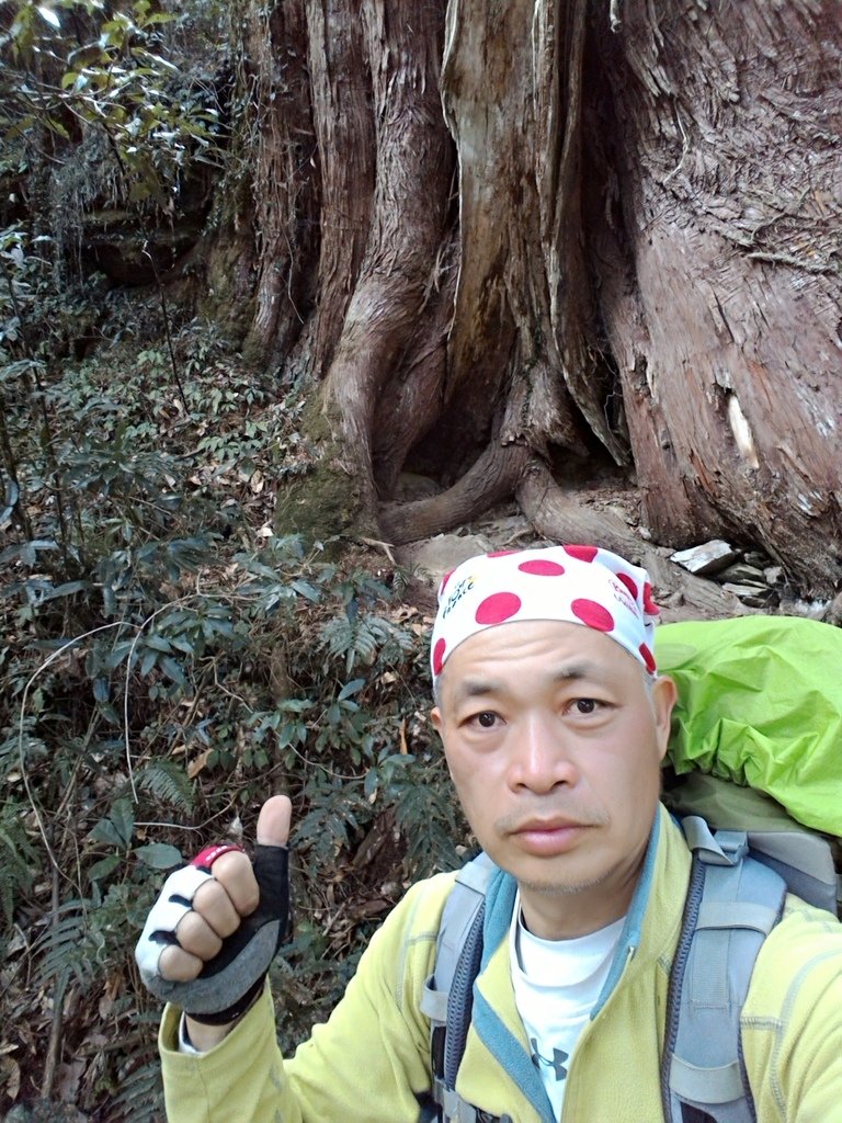 P_20170405_111524_BF.jpg