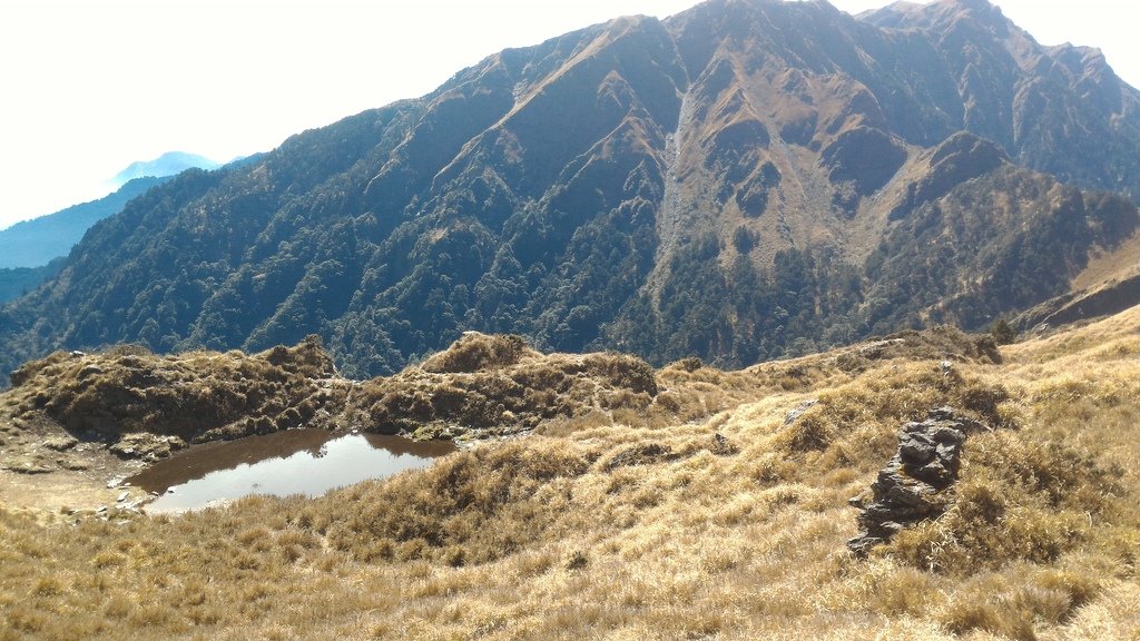 P_20170403_094645.jpg