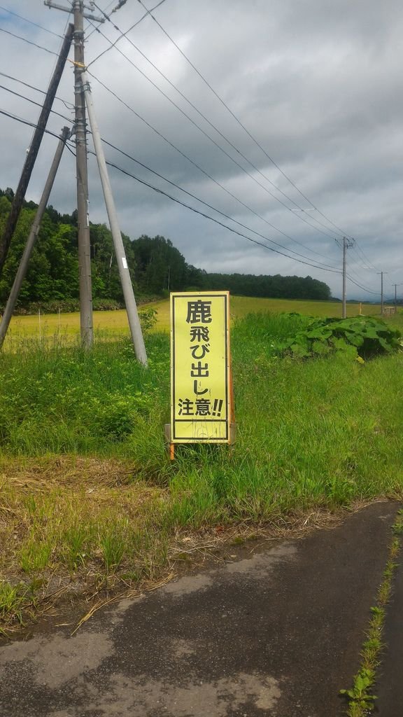 P_20180630_093901.jpg