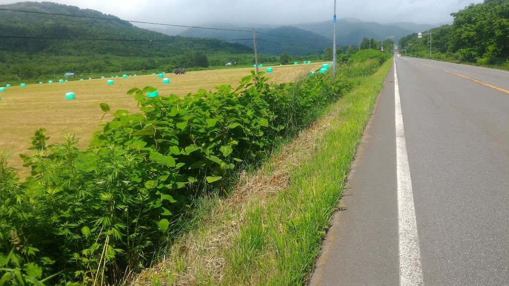 P_20180630_100716.jpg