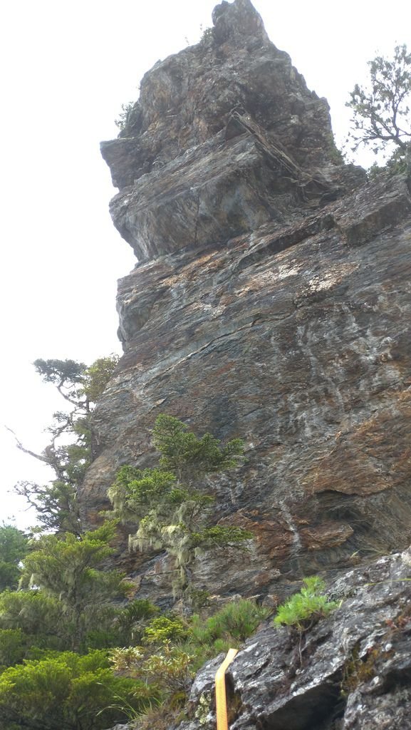 P_20190726_123422.jpg