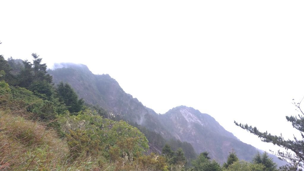 P_20190726_164555.jpg