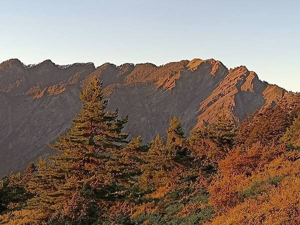 IMG20210919054751.jpg