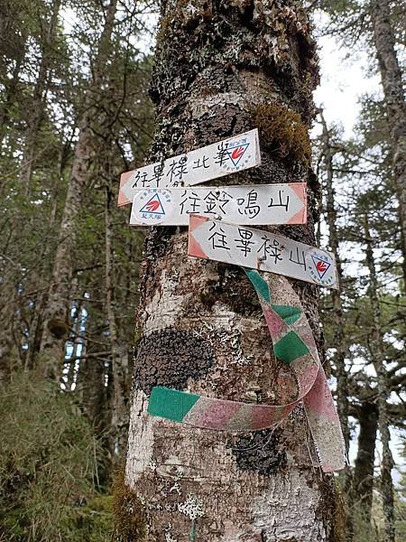 IMG20210919115209.jpg