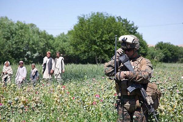 美軍巡邏阿富汗罌粟田1.jpg