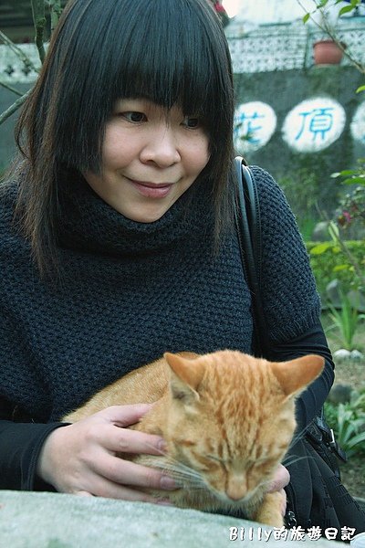 侯硐貓村081.jpg
