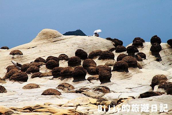 基隆和平島043.JPG