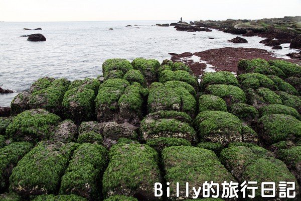 基隆和平島綠魔菇08