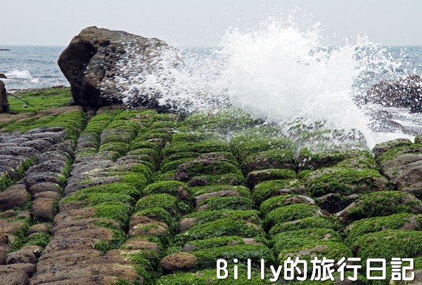 基隆和平島綠魔菇26