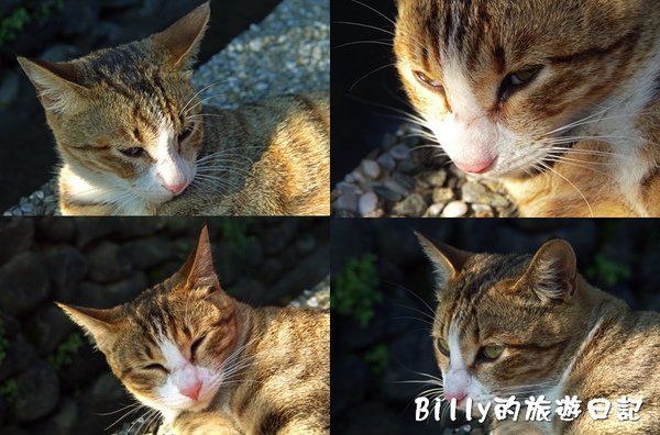 猴硐煤礦博物園區033.jpg