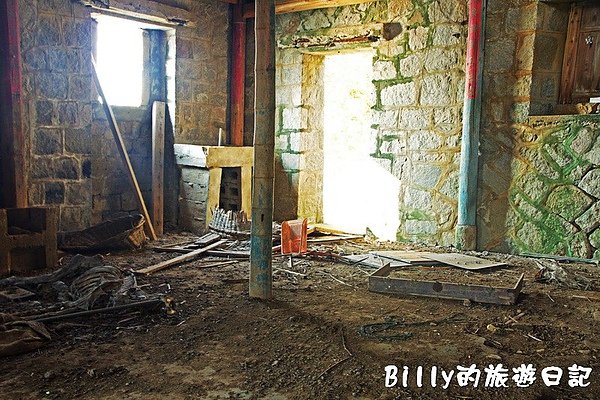 馬祖北竿大坵梅花鹿058.jpg