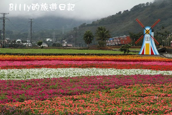 花東花海節08.JPG